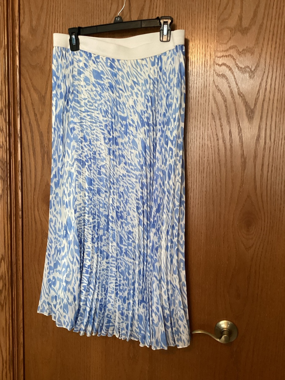 Pleated Maxi skirt by Blue Sol NWT size L blue/ white